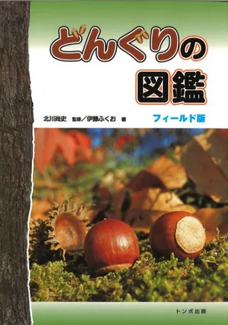 どんぐりの図鑑 フィールド版