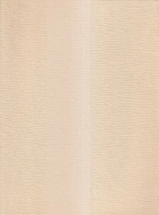 ΩԻˡ崬(̱¯ϡ)