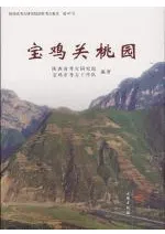 ���ܴ�����