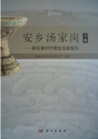 �¶����־�����д�����Ԯȯ����� �岼��