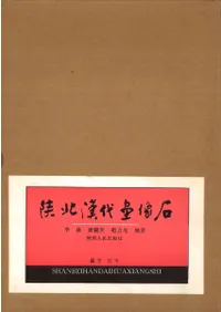 ��̴��������