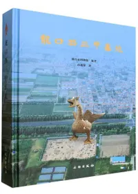 ζ������������