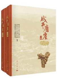 ��˭�ⳳ���岼����2��