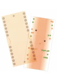 ��ɮ䵡����ұ�����ϻ