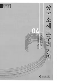 중국 소재 고구려 관련 금석문 자료집(¢Ϣʸ)