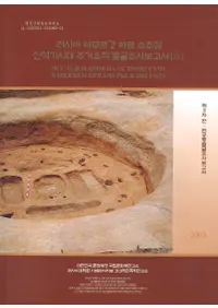 러시아 아무르강 하류 수추섬 신석기시대 주거유적 발굴조사보고서( ࡼή翷д彻ȯĴ)33