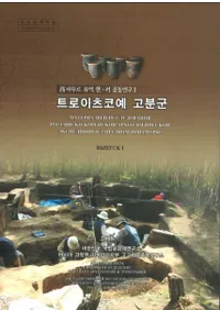 트로이츠코예 고분군 (ȥĥʯ)3