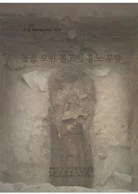 몽골 모린 톨고이 흉노 무덤 (󥴥  ȥ르 ҳ)