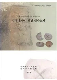 탐진다목적댐 수몰지역 문화유적 5장흥 용문리 조선 백자요지 (ÿ¿Ūϰʸ5ĹζΤīԮ)