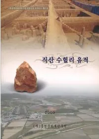 직산 수헐리 유적 (ͻݼΤ)