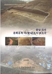 충남 각지 문화유적 시(발)굴조사 보고서 (�������ʸ������ ��(ȯ)��Ĵ������