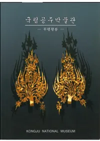 국립공주박물관 무령왕릉 (Ωʪۡǫ)