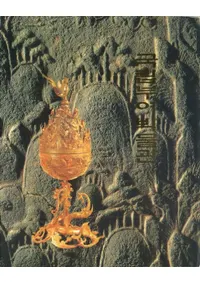 국립부여박물관 (Ω;ʪ)