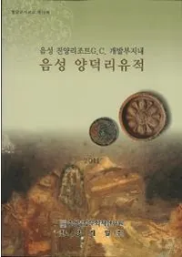 음성 양독리유적 (��������Τ����)