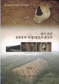 경기 각지 문화유적 시(발)굴조사 보고서 (��������ʸ������ ��(ȯ)��Ĵ������)
