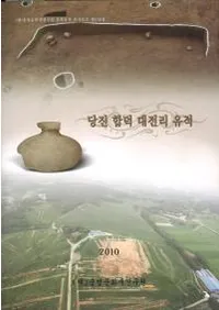 당진��합덕 대전리 유적 (���Ź�����ŵΤ����)