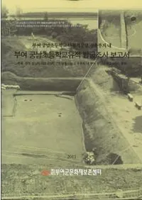 부여 궁남초등학교유적 발굴조사 보고서 (��;��������ع�����ȯ��Ĵ������)