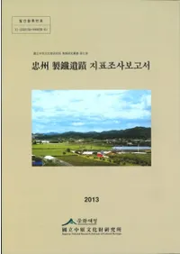 齣 İ 지표조사보고서 (齣ŴɽĴ)