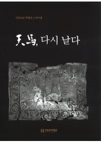 ŷϡ다시 날다 (ŷϺ)