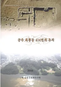 공주 옥룡동 414번지 유적 (ζƶ414ϰ)