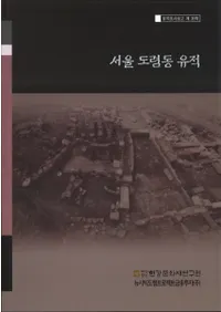 서울 도렴동 유적 (ƶ)