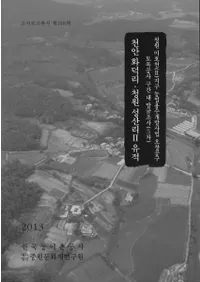 천안 화덕리천안 성산리 2 유적 (ŷ²ΤŷΤ2)