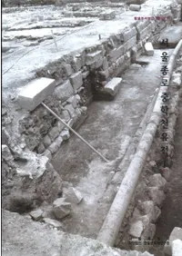 서울 종로 중학천 유적 1(ϩ1)