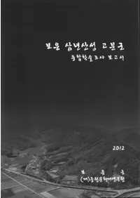보은 삼년산성 고분군 종하봑술조사 조고서 (�󲸻�ǯ�����ʯ������ؽ�Ĵ������)