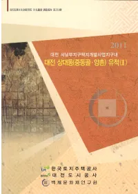 대전 상대동 (중동골 양촌 )유적(2) (ľԲƶ(ɥ󥴥롦)(2))