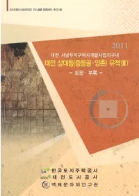 대전 상대동 (중동골 양촌 )유적(3)  (ľԲƶ(ɥ󥴥롦)3))