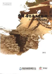 창녕 송현동 고분군2-15-17호분 발굴조사보고 학술조사보고 (ǫ峴ƶʯ215-17ʯȯĴ𡦳ؽĴ)