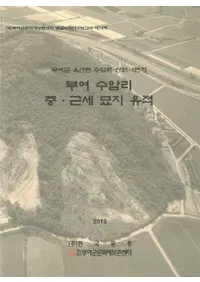 부여 수암리 중��근세 묘지 유적(��;����Τ���桦������������)