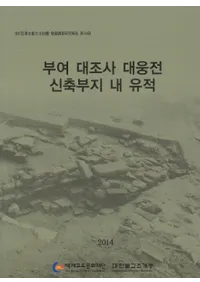 부여 대조사 대웅전 신축부지 내 유적(;ͺ¡)