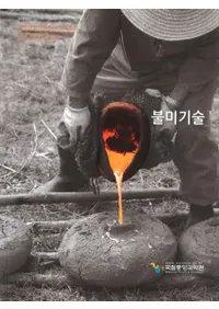 겨레과학기술 조사연구(17)(̱²ʳصĴ(17)ʪ