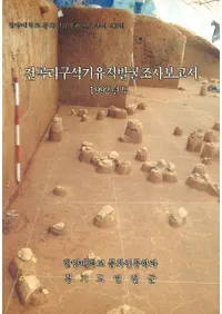 전곡리구석기 유적발굴조사보고서(ëΤдȯĴ1992ǯ)