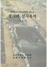 평라리 선사유적(ʿΤ ˰) 보유편()