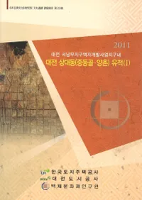 대전 상대동 (중동골 양촌 )유적(1) (ľԲƶ(ɥ󥴥롦)(1))