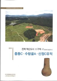 중동C수랑골A신정C유적 (ɥC󥴥A󥸥C)