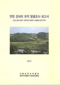 연천 강내리 유적 발굴조사 보고서 (ΤȯĴ)