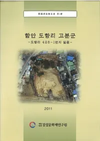 함안 도항리 고분군 (ƻΤʯ) ƻΤ428-1ϰ