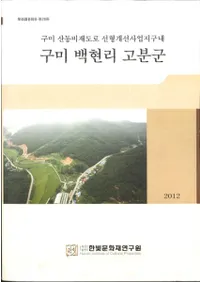 구미 백현리 고분군 (峴Τʯ)