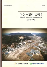 경주 어일리유적 (ĽΤ)144å