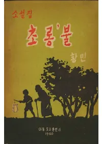 소설집 초롱 불 (⽸ )