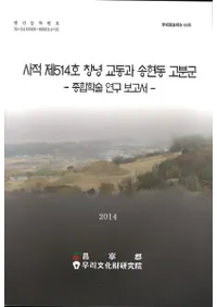 서적 제514호 창녕 교동과 송현동 고분군 종합학술 연구 보고서 (514澻ǫƶȾ峴ƶʯؽѸ)