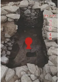 靈 ٴΤ 자라봉 ʯ (ٴΤܥʯ)