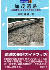 ���а��ס��緿��ʪ����ĵ���������罸��