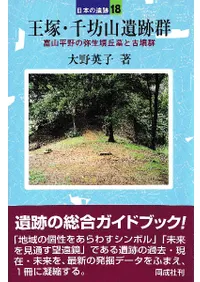 ���͡���˷�����׷����ٻ�ʿ�������ʯ����ȸ�ʯ��