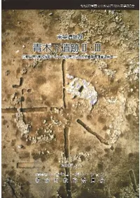 南条遺跡群 青木下遺跡2・3