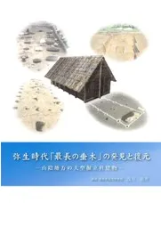 弥生時代「最長の垂木」の発見と復元 山陰地方の大型掘立柱建物