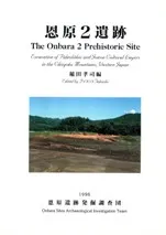 中国 | 発掘調査報告書 | 古書 | 歴史・考古学専門書店 六一書房